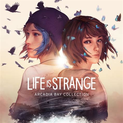 life is strange or arcadia bay.